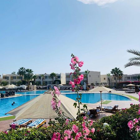 Sharm Reef Resort Dış mekan fotoğraf