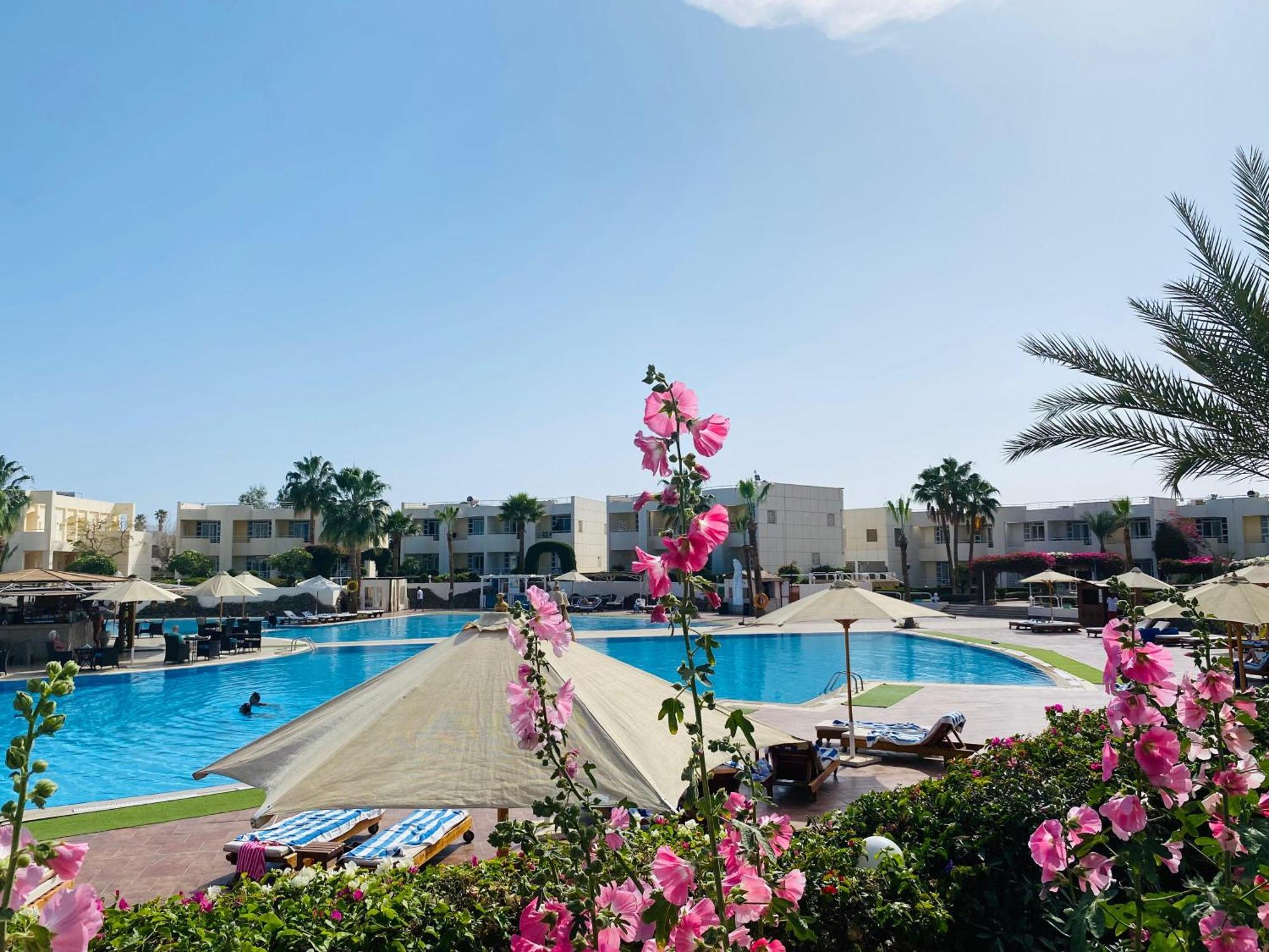 Sharm Reef Resort Dış mekan fotoğraf